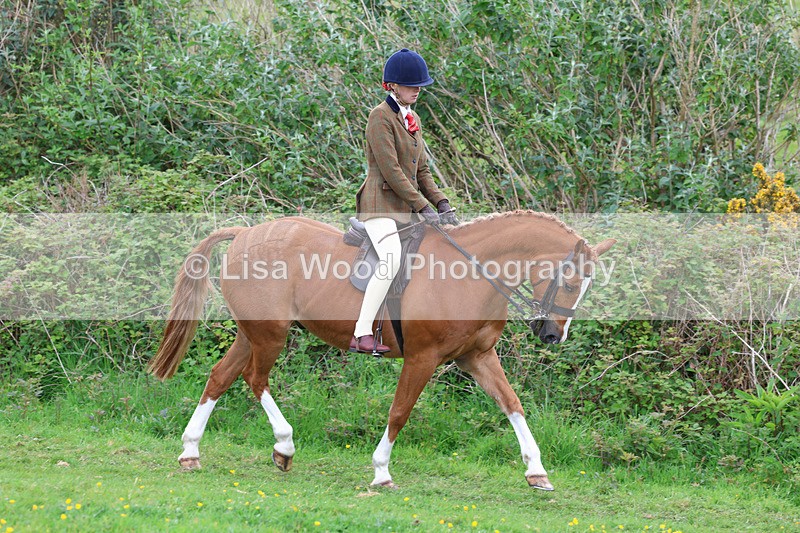 3E7A1968 - Class 10: Ridden Sports Horse