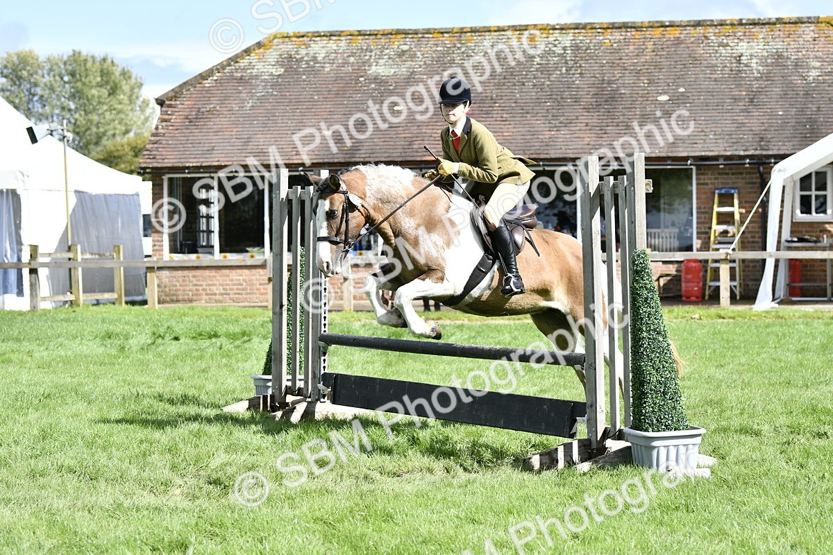 SBM_45679 - S33 - Working Hunter Pony