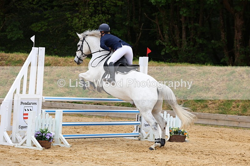 3E7A6378 - Class 4: Senior British Novice/90cm open