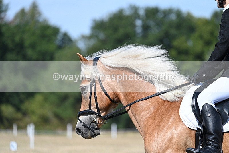 WJ7_0252 - Time 11:33 to 11:44