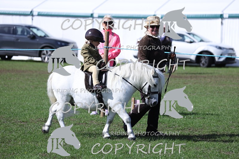 APP_3809 - Class 13 Lead rein