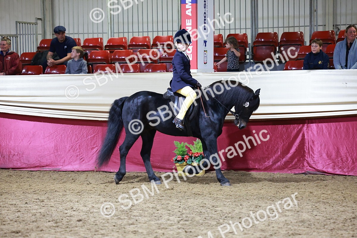 SBM_20549 - Class H - IH Competition - Riding Club champ