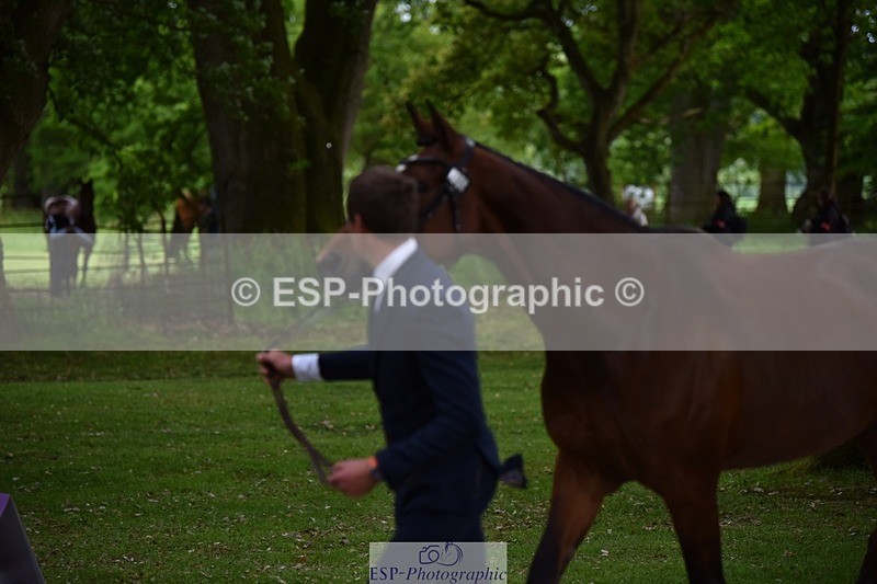 240522-150652-00092 - 306-EVENSTAR-Matthew_Hecking