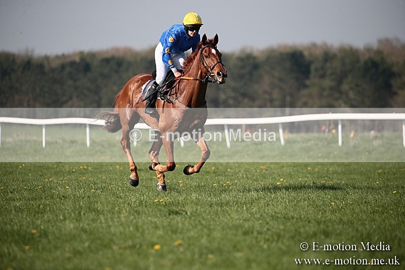 PtP 210418 487 - South & West Wilts Point-to-Point Larkhill 21/04/18