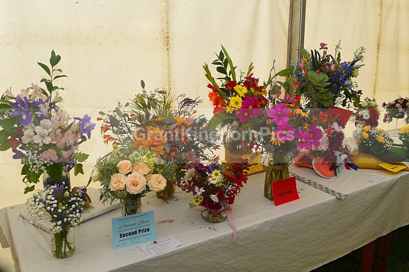 47 - Yarrow & Ettrick Pastoral Society Show 2026