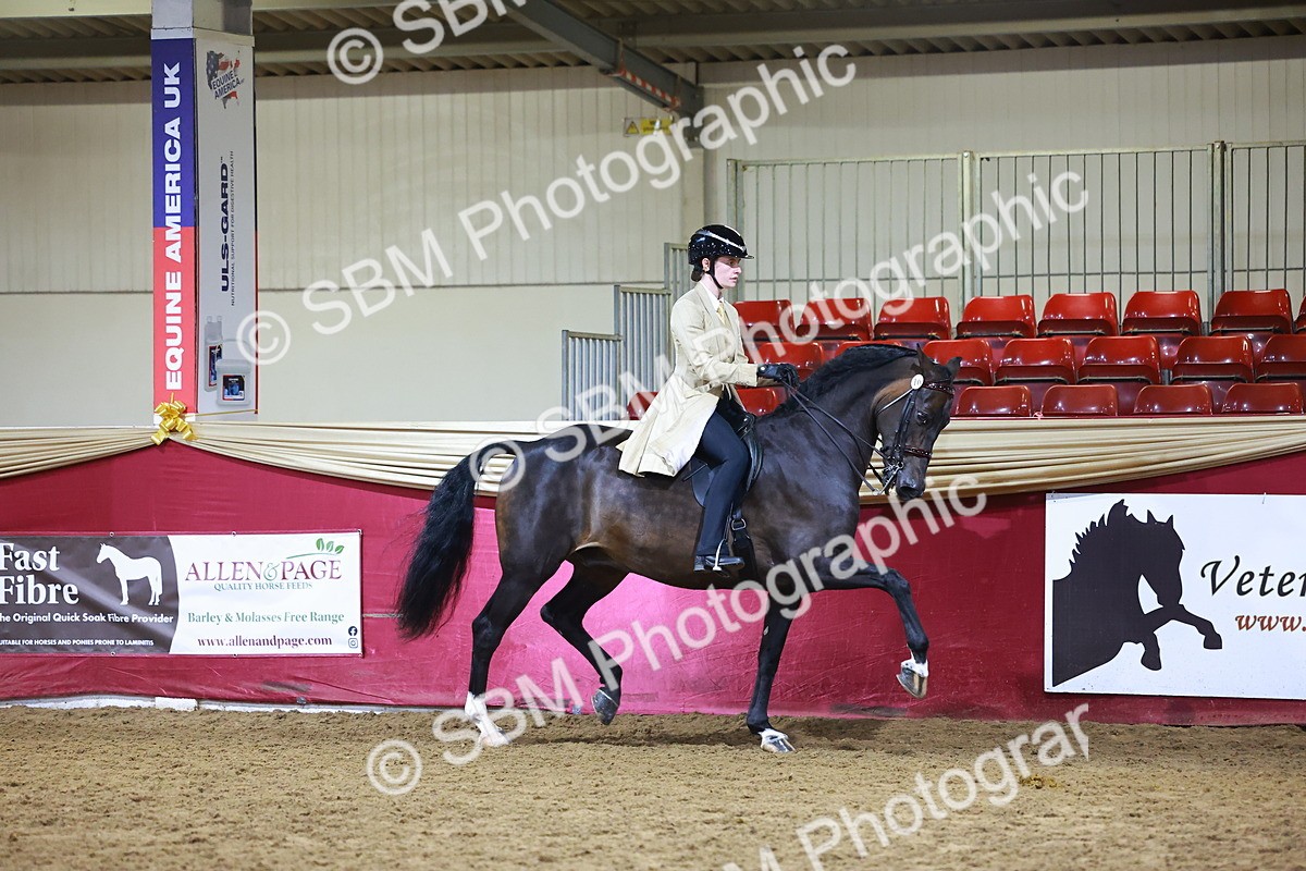 SBM_15493 - Class R - Veteran Champ