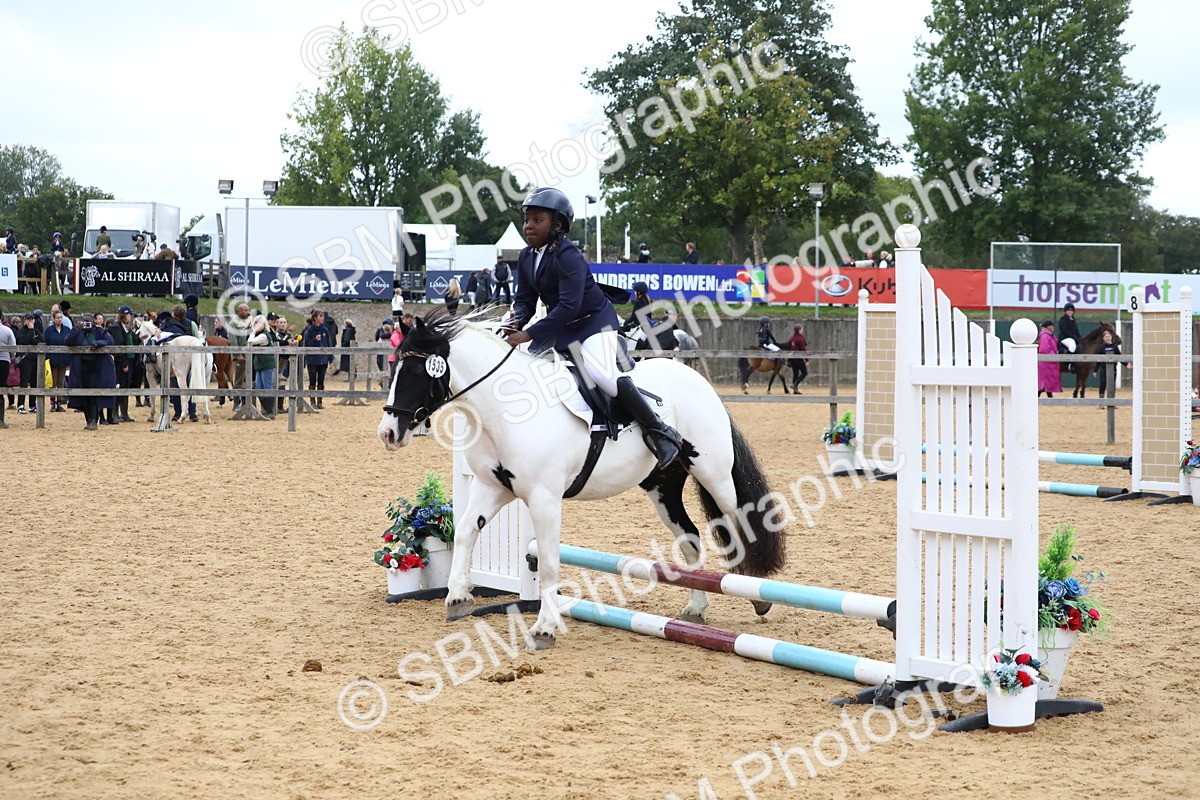 SBM_68262 - J3b - Mini Tour Junior Pony 40cm Championship