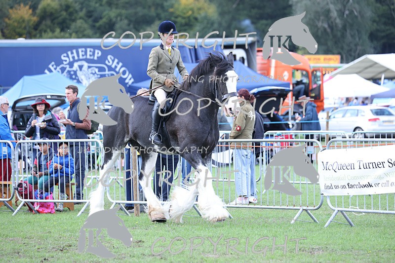 APP_3643 - Class 8 Ridden Class