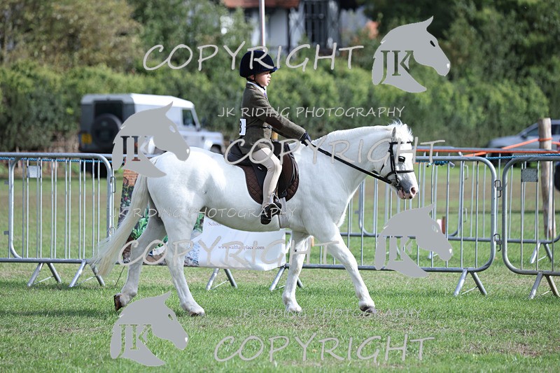 APP_4102 - Class 15a/b Pony club pony/Riding club horse