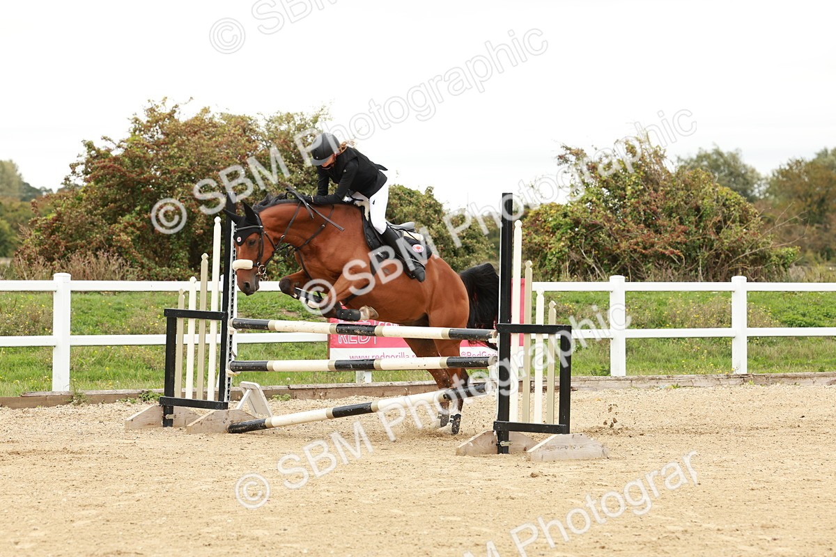 1I0A6882 - Class 2 - Senior British Novice