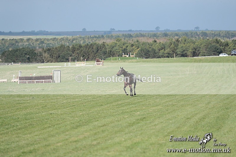 PtP 230324 299 - Tedworth Hunt PtP Larkhill Raccourse 23rd March 2024