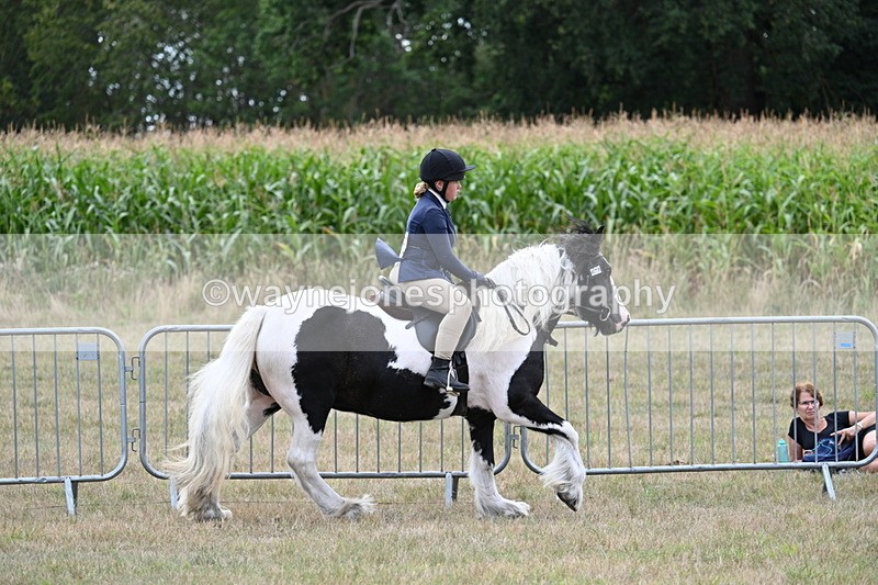 WJ7_5348 - Class 12 Ridden Cob