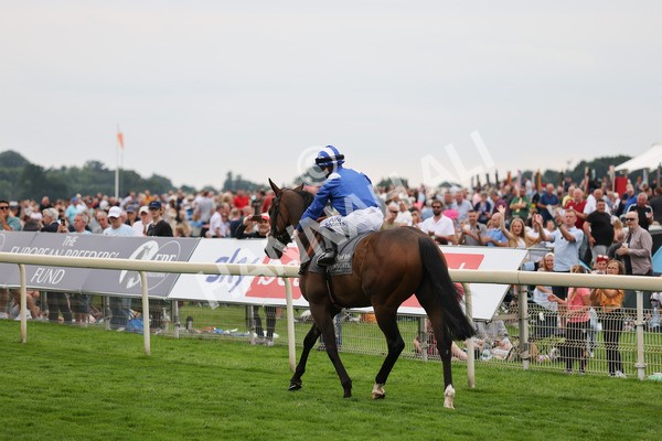 yr20082021r4-13 - Race 4 3.35pm Coolmore Wootton Bassett Nunthorpe Stakes (British Champions Series Race)