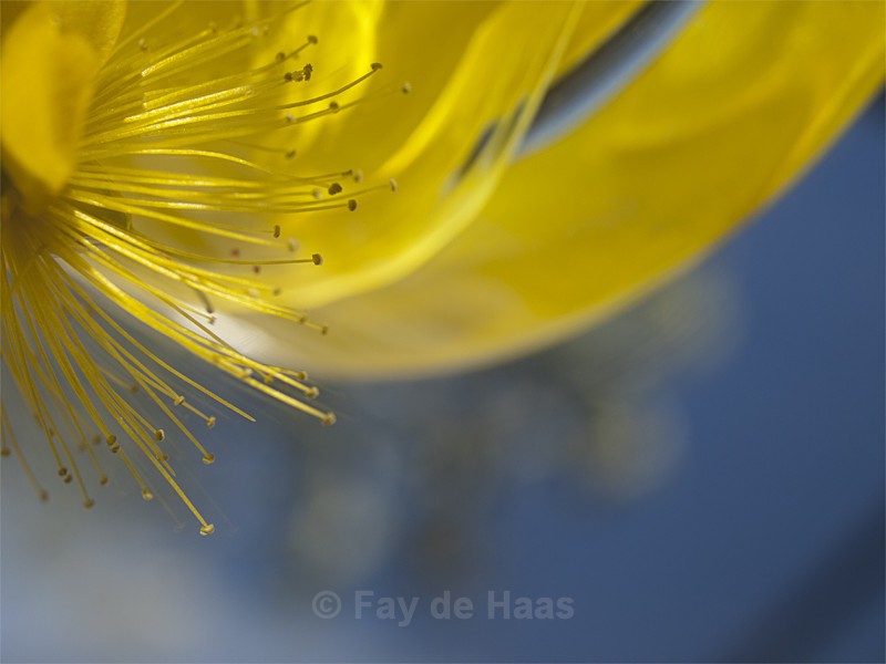  - The Glow of Summer