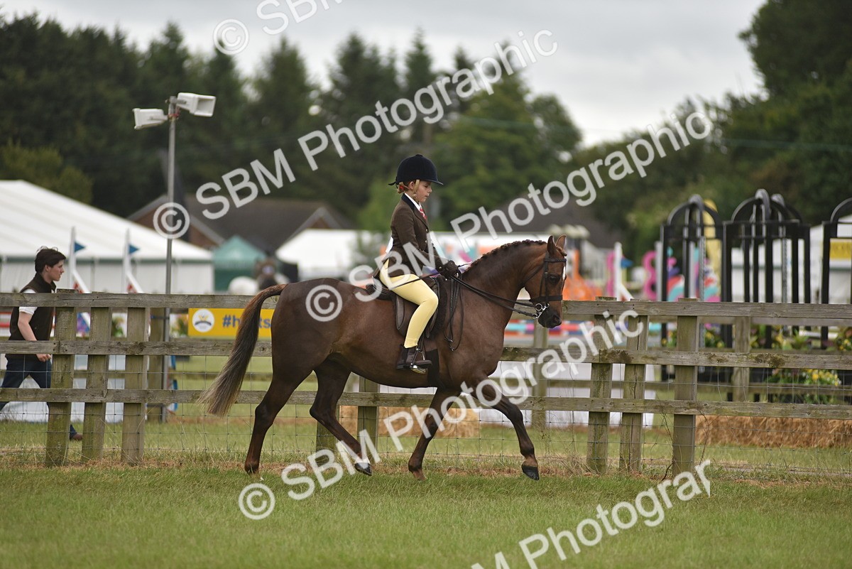 SBM_11987 - Class 110-112 - LIHS BSPS Performance Pones