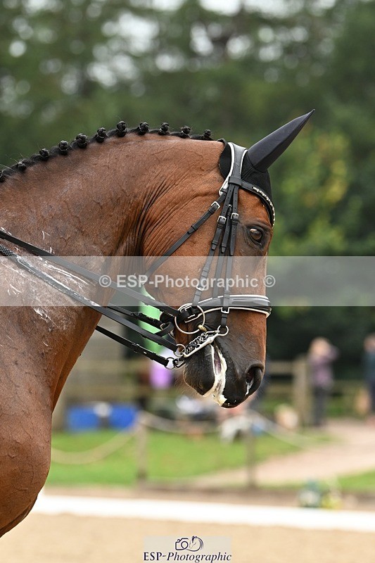 240811-115634-05648 - 241-Kathryn.Little-Quietly.Does.It