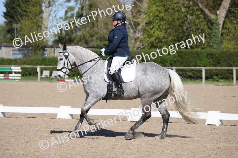 20250406-0470 - Class 3 - Novice 5