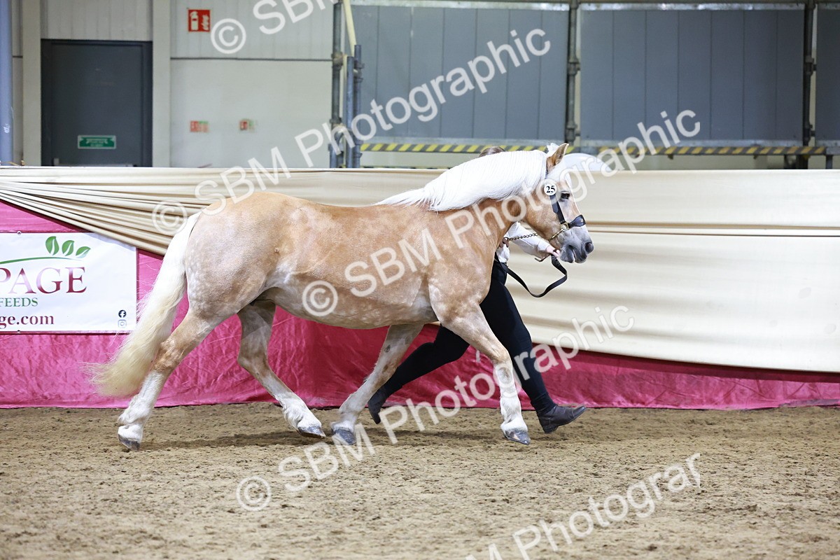 SBM_20674 - Class J - Foreign Breeds Champ