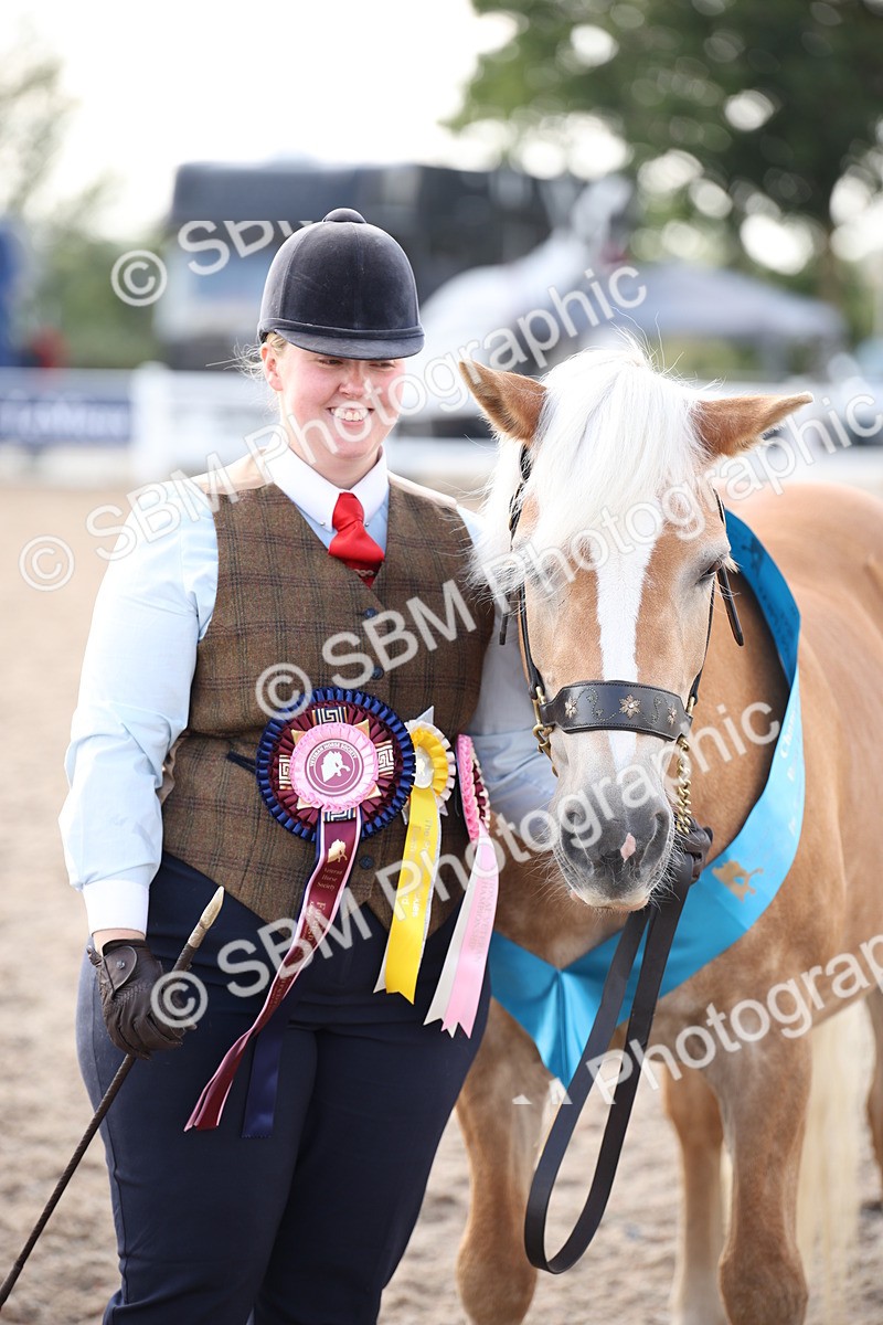 SBM_07142 - Class 25 IH Foreign Breeds- Pure bred