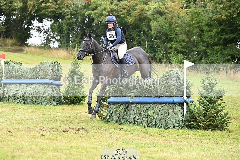 TS_b3199488 - SAT BE 90 Recovered Files fence 8