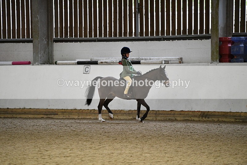 WJ5_7407 - Class 11 Ridden PC - RC Pony