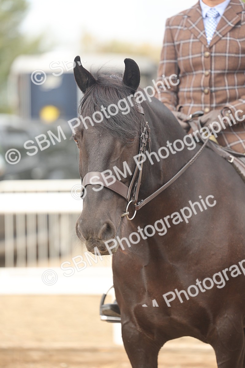 SBM_01976 - Class 14 - Ridden M&M Wildcard