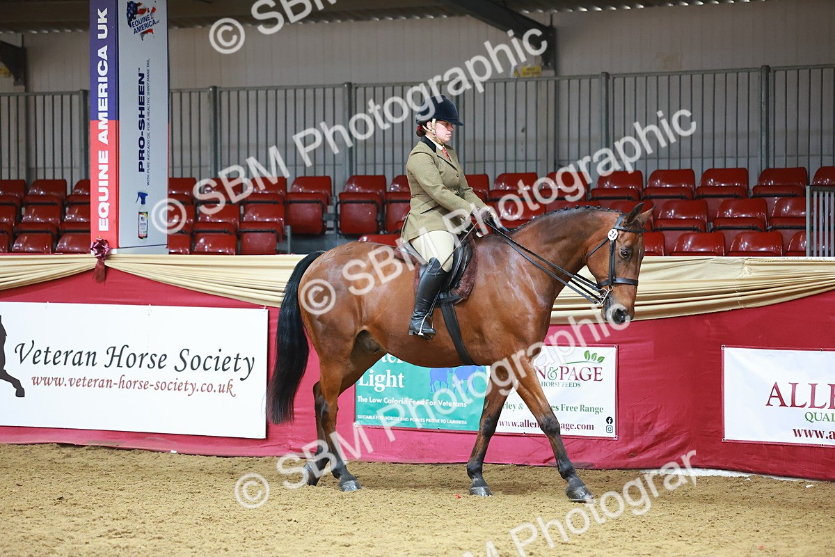 SBM_09353 - Class 102 - HOYS Veteran Qualifier - Ridden Veteran