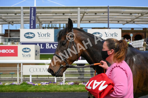  - Race 3 2.40pm The Matchbook Betting Podcast Hambleton Stakes