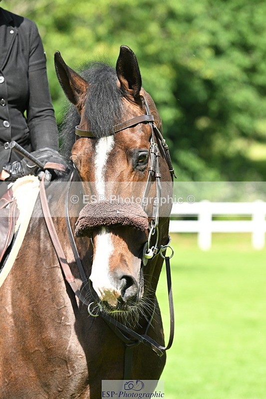 250615A-155301-11858 - Cls 41 Amateur Qualifier 1.10m & Snr 1.10m Open