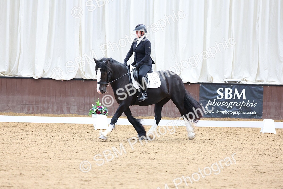 SBM_015783 - Class 15 - Novice FSM - 9.50 - 11.10