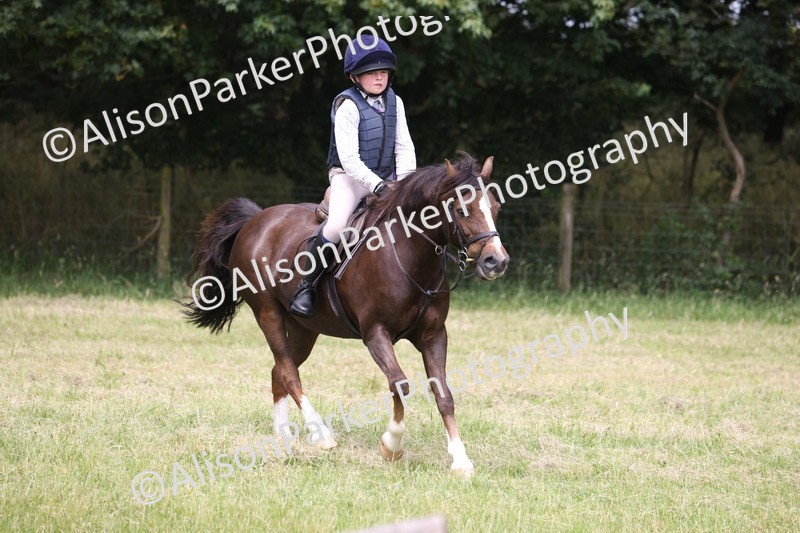 20260614-3235 - Class 22 - Open Working Hunter