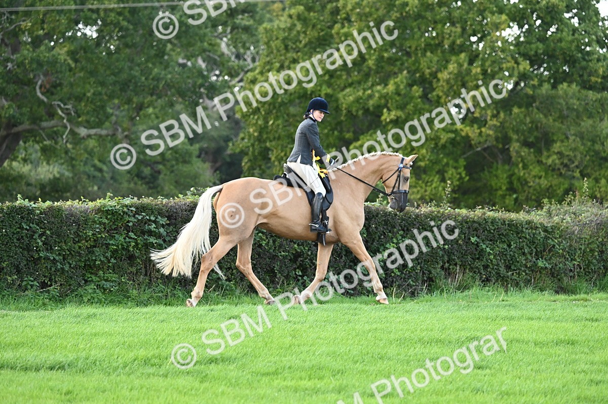 SBM_26527 - S6 - Novice & newcomer Ridden horse