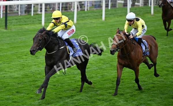 220825-110 Lifeplan - Race 3 3.00pm Al Basti Equiworld Dubai Gimcrack Stakes