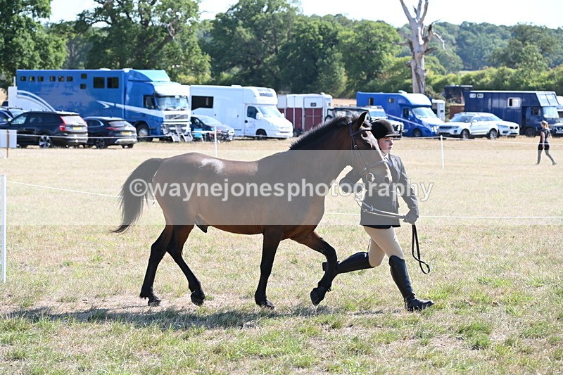 WJ6_7541 - Class 34 Judges Choice