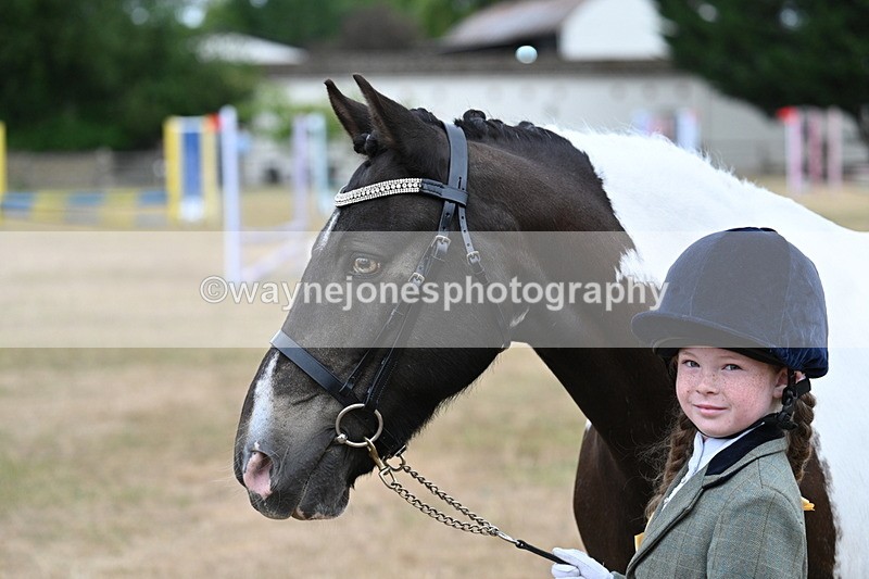 WJ7_9724 - Class 5 Most Handsome Gelding (up to 14.2hh)