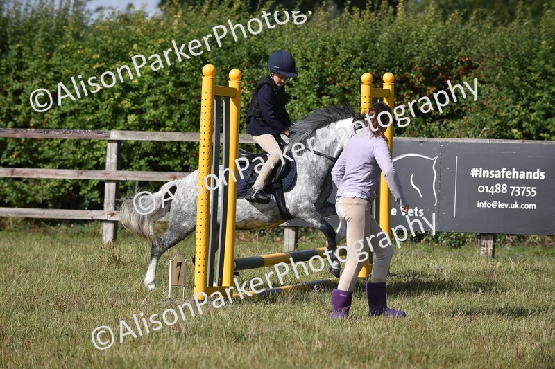 20250831-0457 - Class 7 - Absolute Novice 35cm