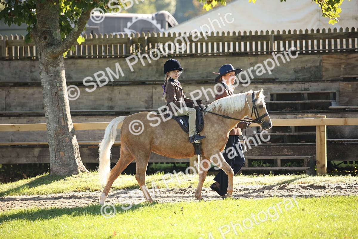 SBM_35644 - S9 - Lead Rein Equitation