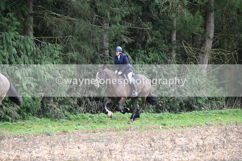 WJ6_9739 - Line Four