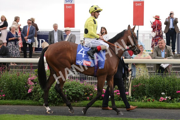 yr18082022r1-7 - Race 1 1.50pm Sky Bet Lowther Stakes