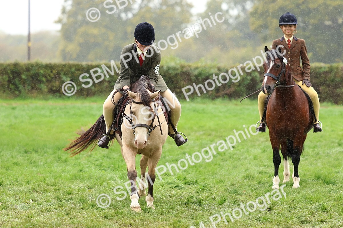 SBM_69728 - S62 - Mountain & Moorland Ridden Large Breeds