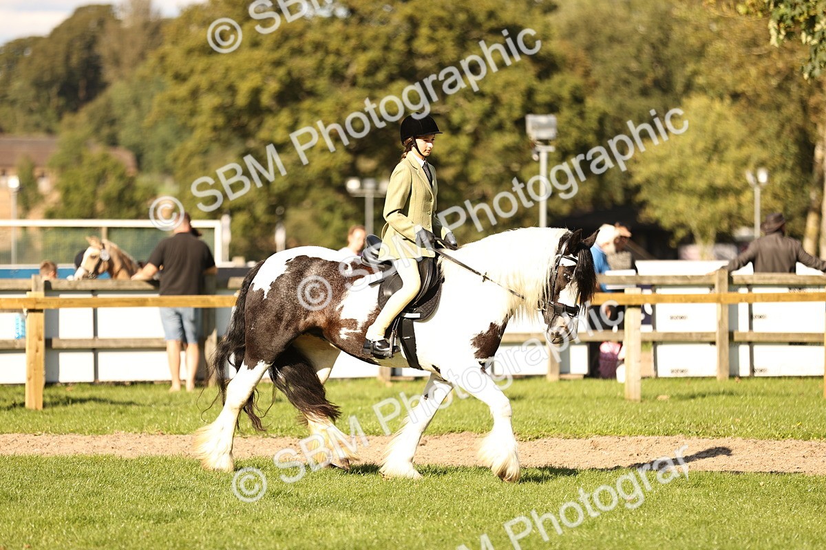 SBM_26434 - S6 - Novice & Newcomers Ridden Horse