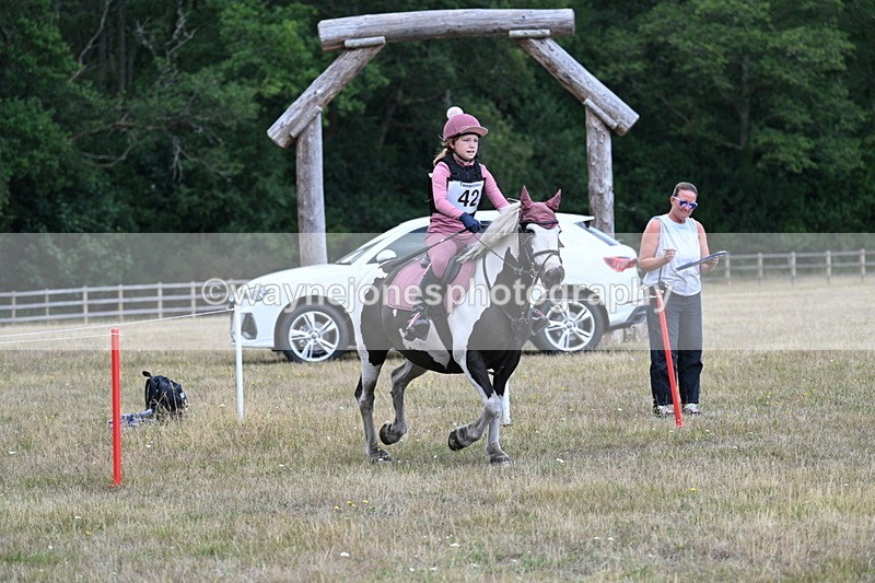 WJ7_0647 - 60cm Time 12:26 to 12:46
