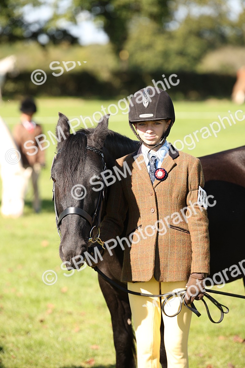 SBM_36682 - S10 - Best In Hand Horse & Pony
