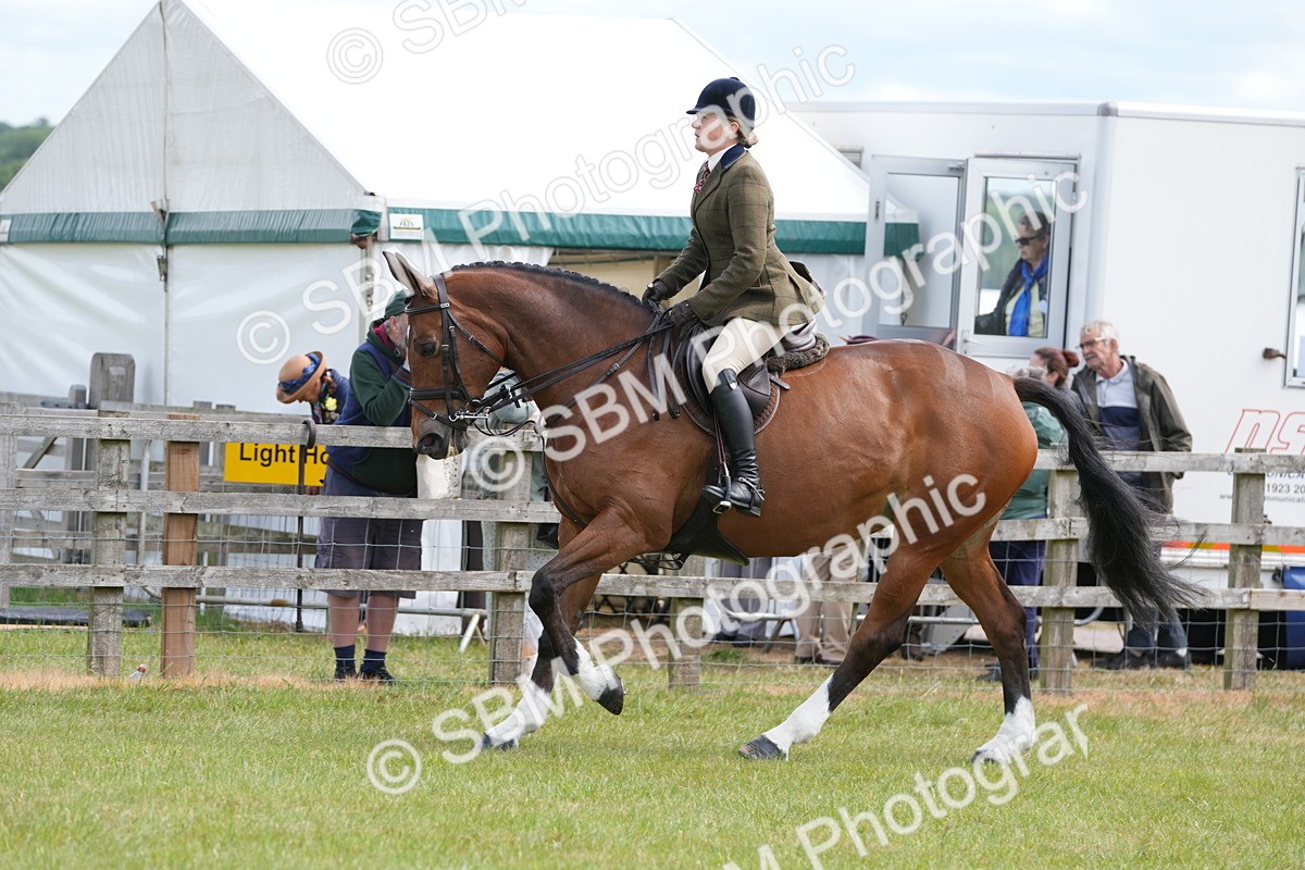 SBM_15017 - Class 100-102 - RIHS Working Hunter