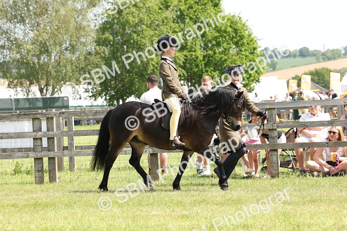 SBM_05202 - Class 24-25 - Mountain & Moorland In Hand Lead Rein and First Ridden