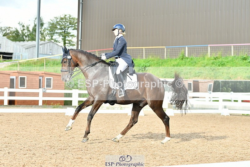 230912A-171430-01967 - Cls 23 FEI Grand Prix