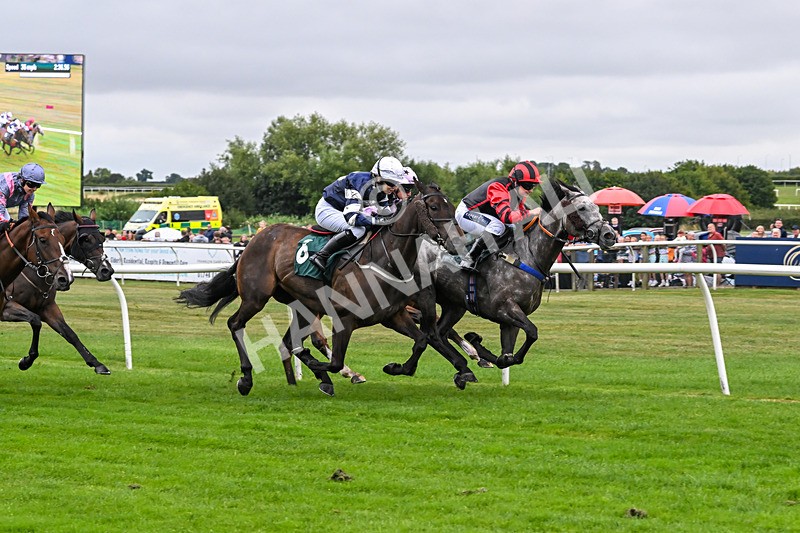 180825-Race 1-Stellarmasterpiece-8163 - Race 1