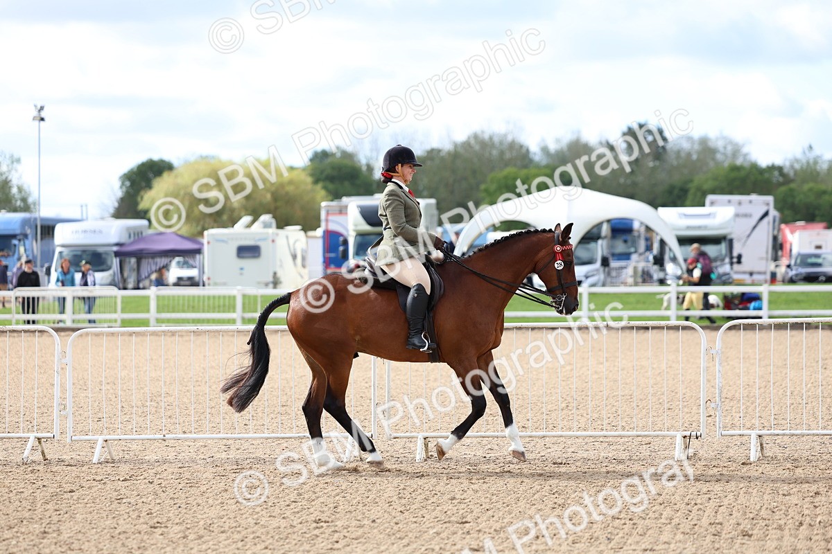 SBM_10046 - Class 304 - Ridden Part Bred Horse Pony