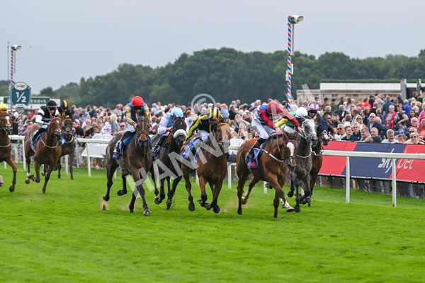 220825-Race 1-Asgards Captain-6616 - Race 1 1.50pm Sky Bet Handicap