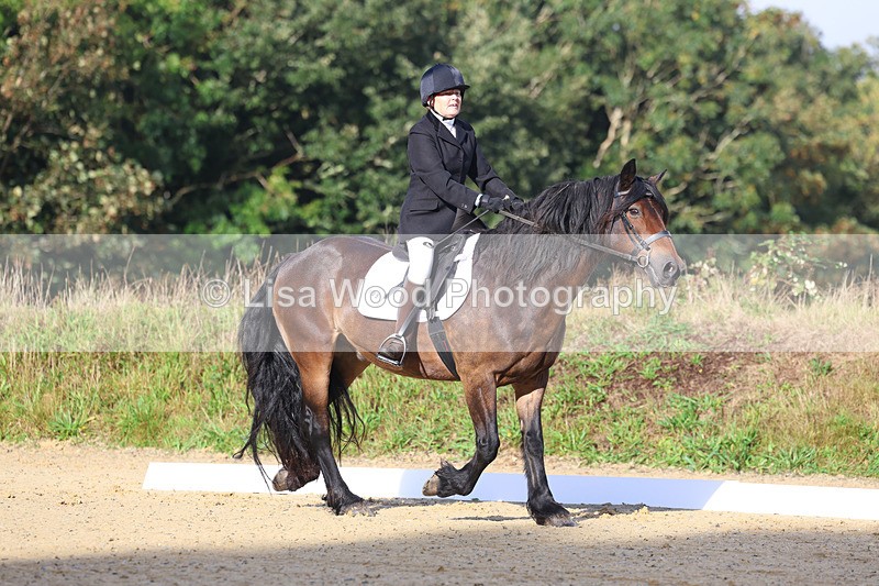 3E7A1855 - Class 1: Intro 4 2024 section A